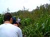 8-16 056 The same canoe trip, wading through the water hyacinths in the Mekong Delta.jpg